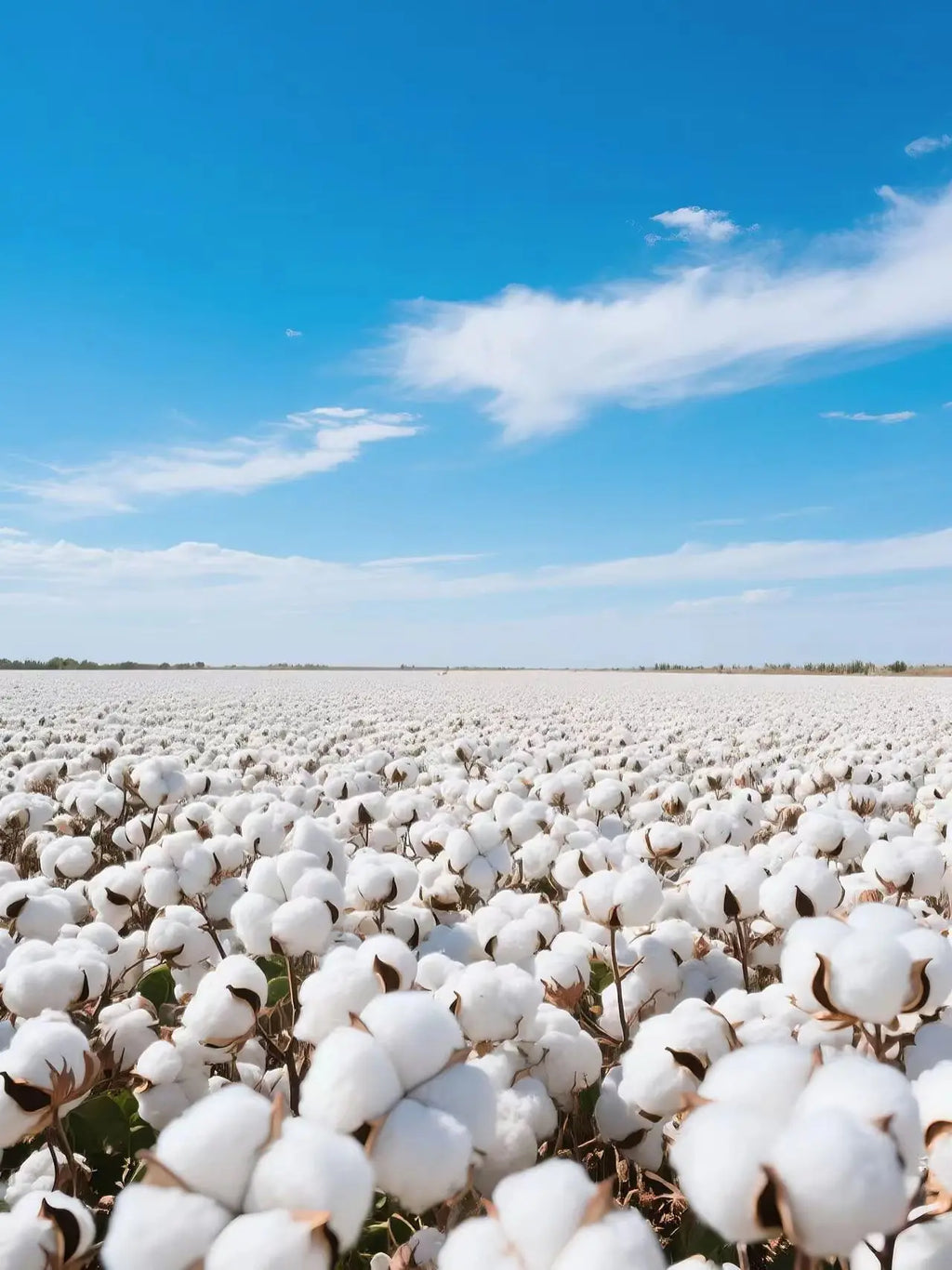 The Weekend XO 2025 Tour Zip Up Hoodie