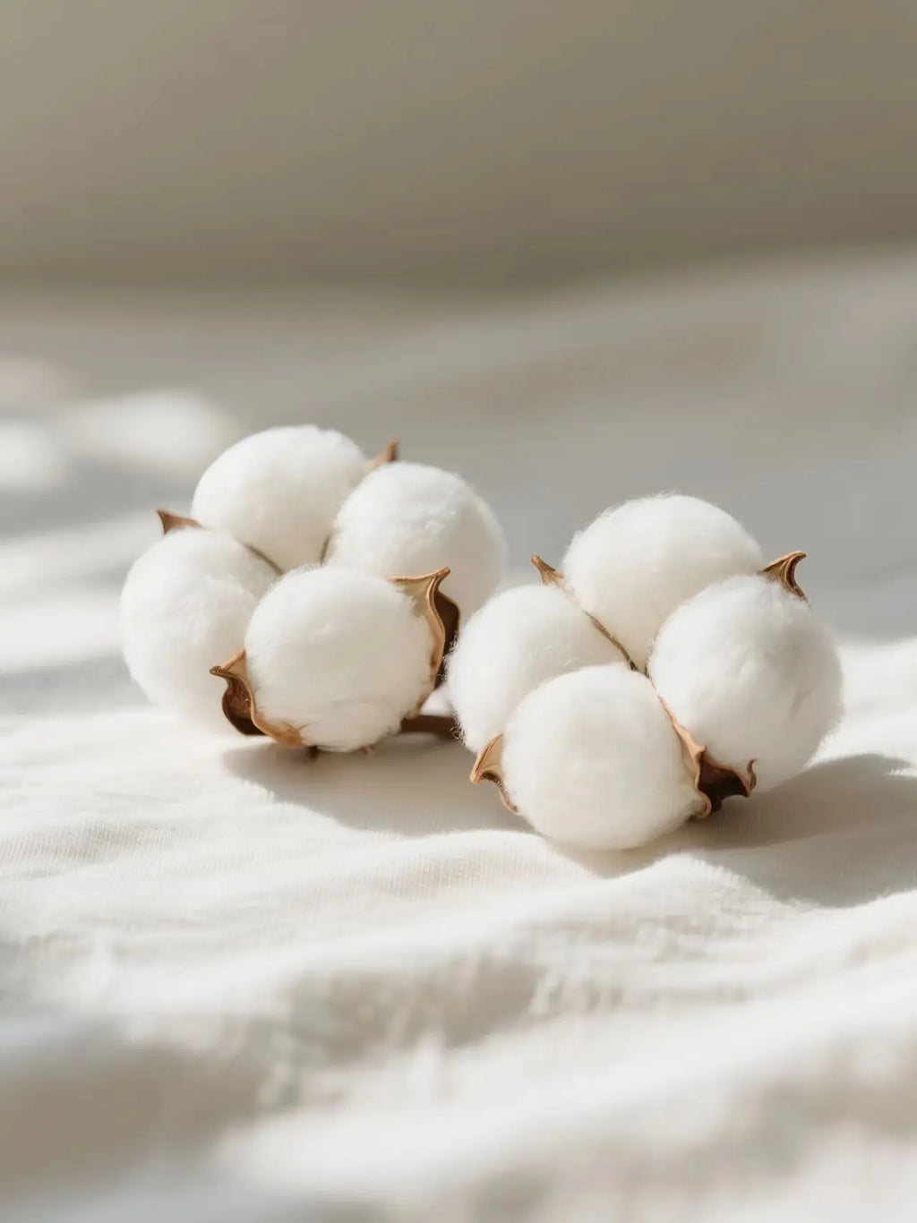 The Weekend XO 2025 Tour Zip Up Hoodie