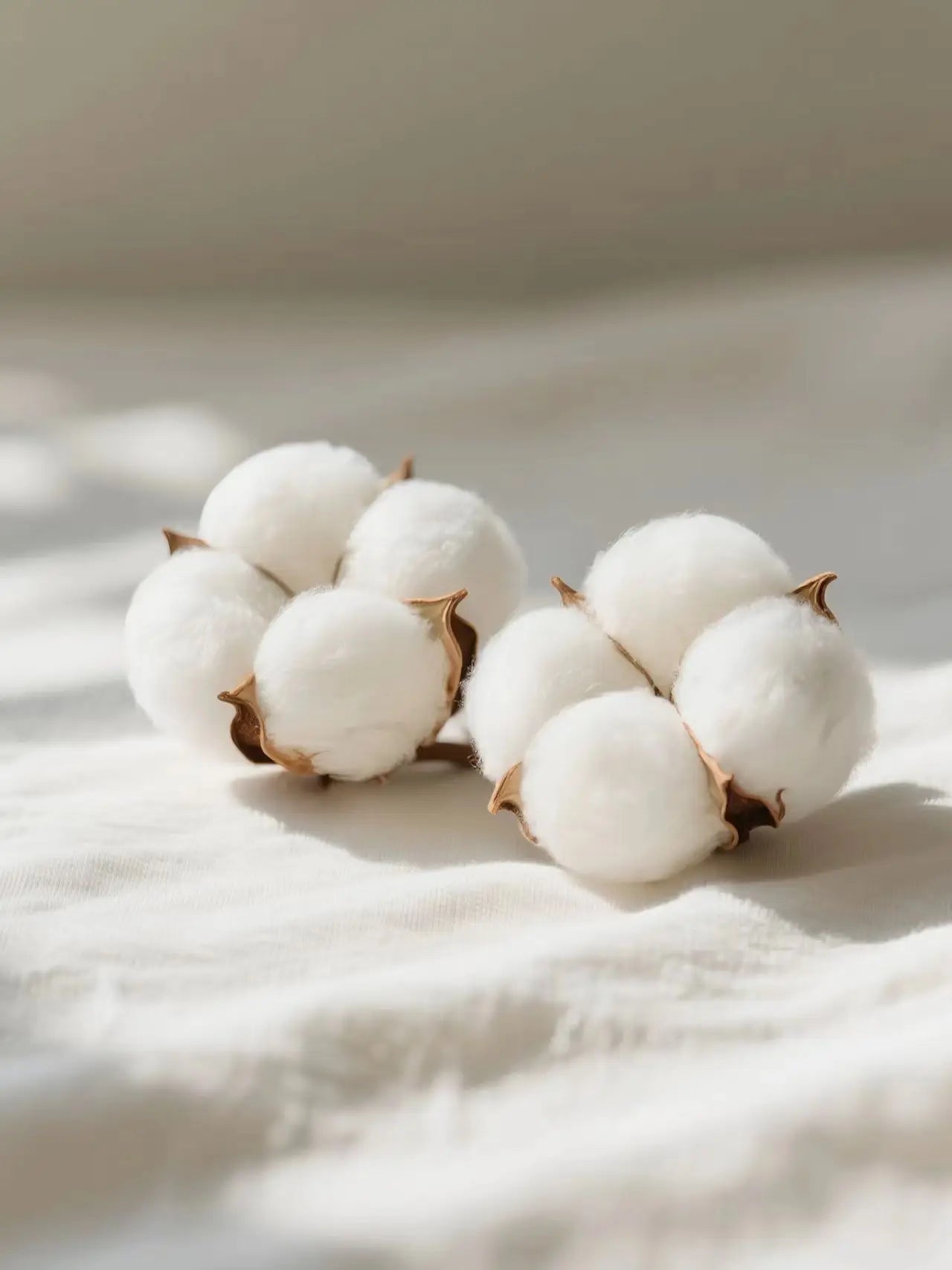 The Weekend XO 2025 Tour Zip Up Hoodie